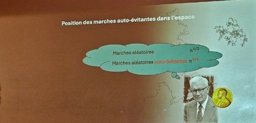 Explication chemins auto-évitants 2