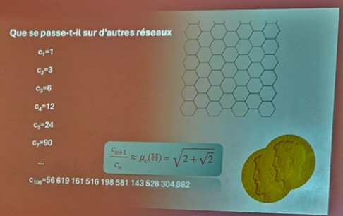 Explication chemins auto-évitants